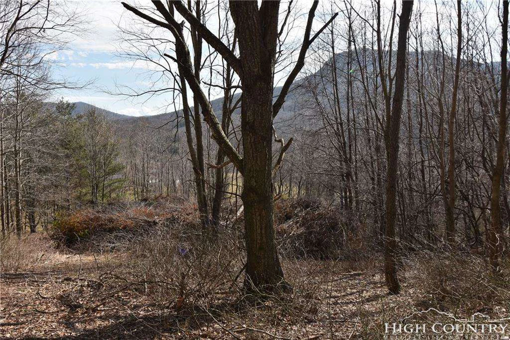 Image number 4 for the current listing