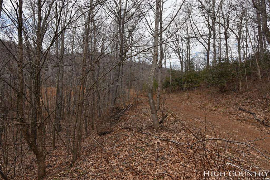 Image number 21 for the current listing