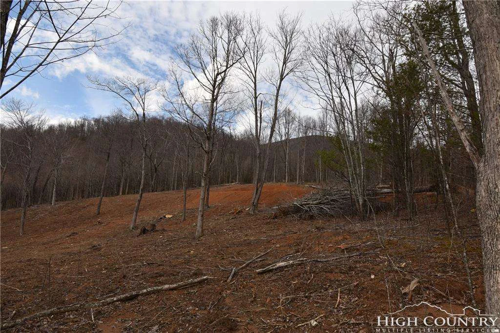 Image number 19 for the current listing