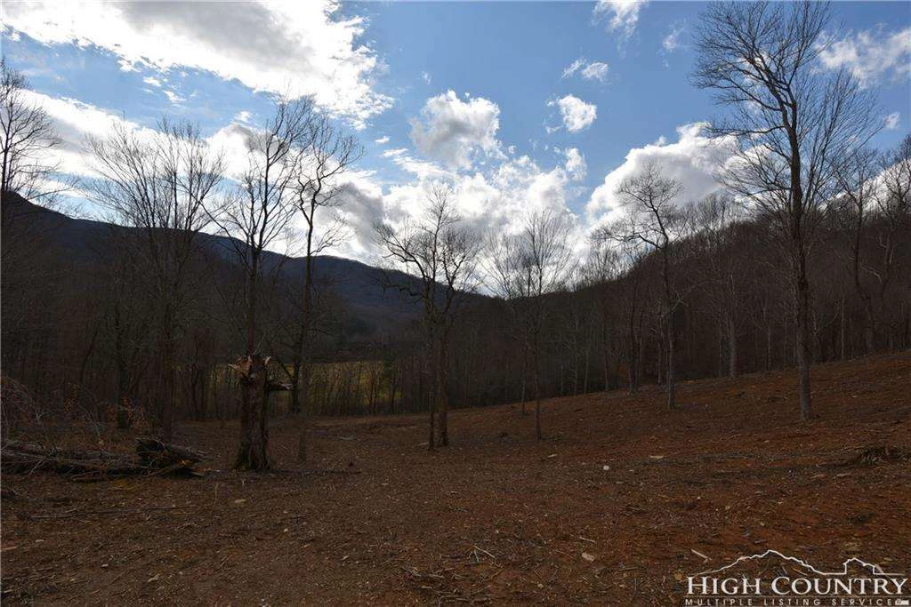 Image number 18 for the current listing