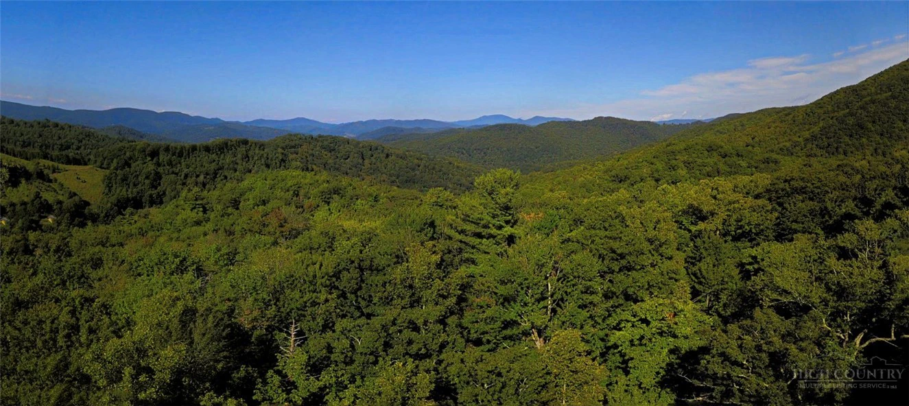 Image number 8 for the current listing