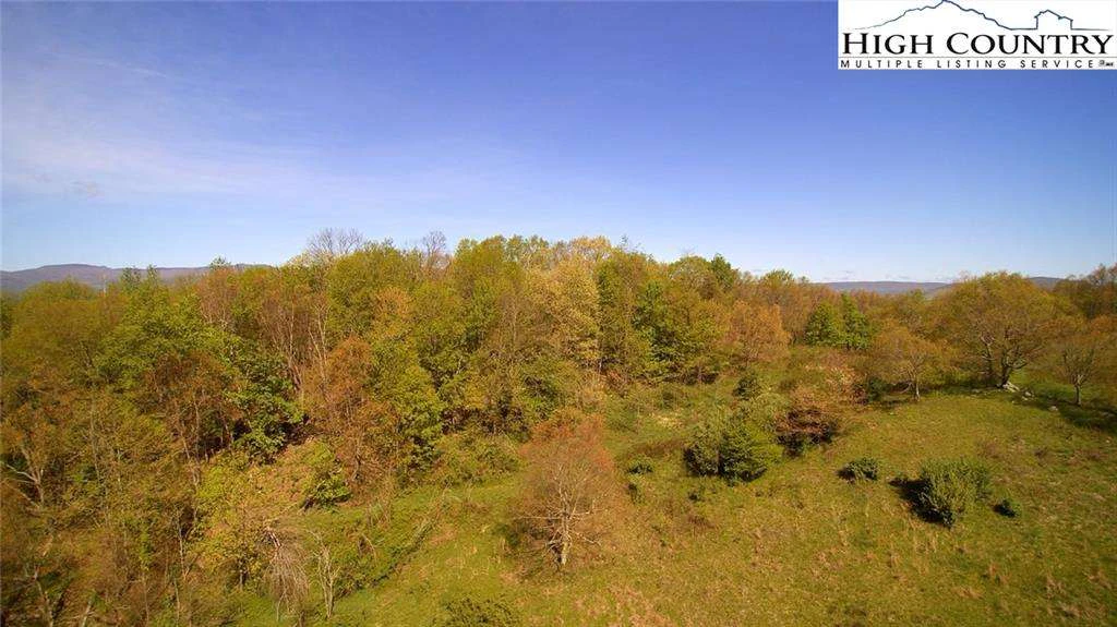 Image number 2 for the current listing