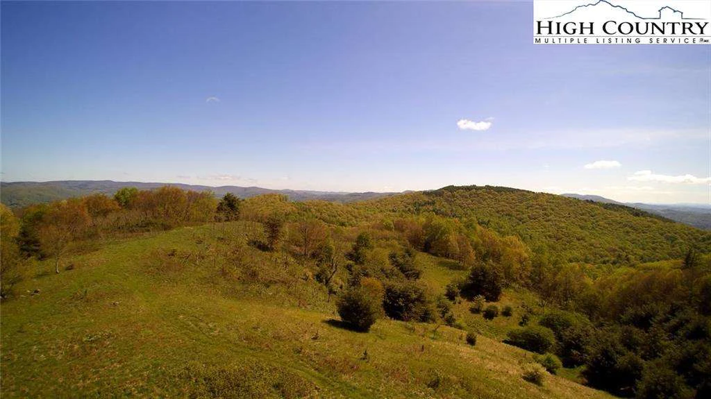 Image number 14 for the current listing