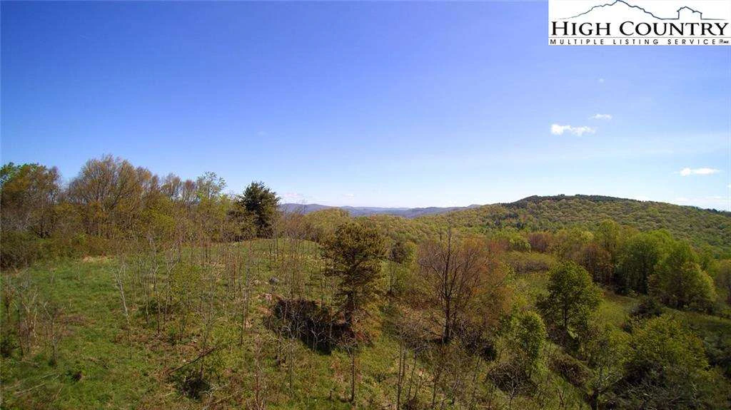 Image number 13 for the current listing