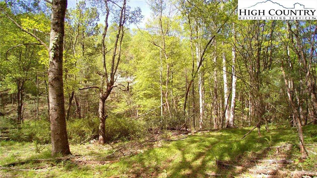 Image number 7 for the current listing