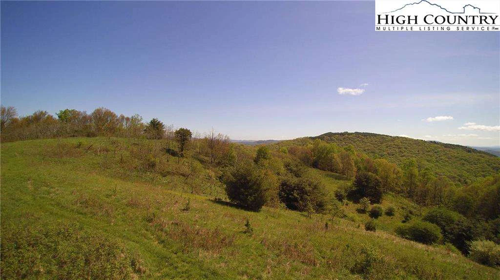 Image number 5 for the current listing