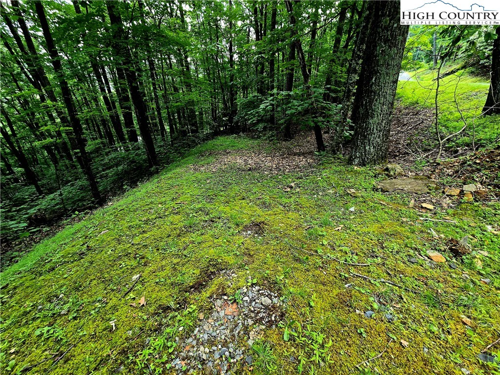 Image number 2 for the current listing