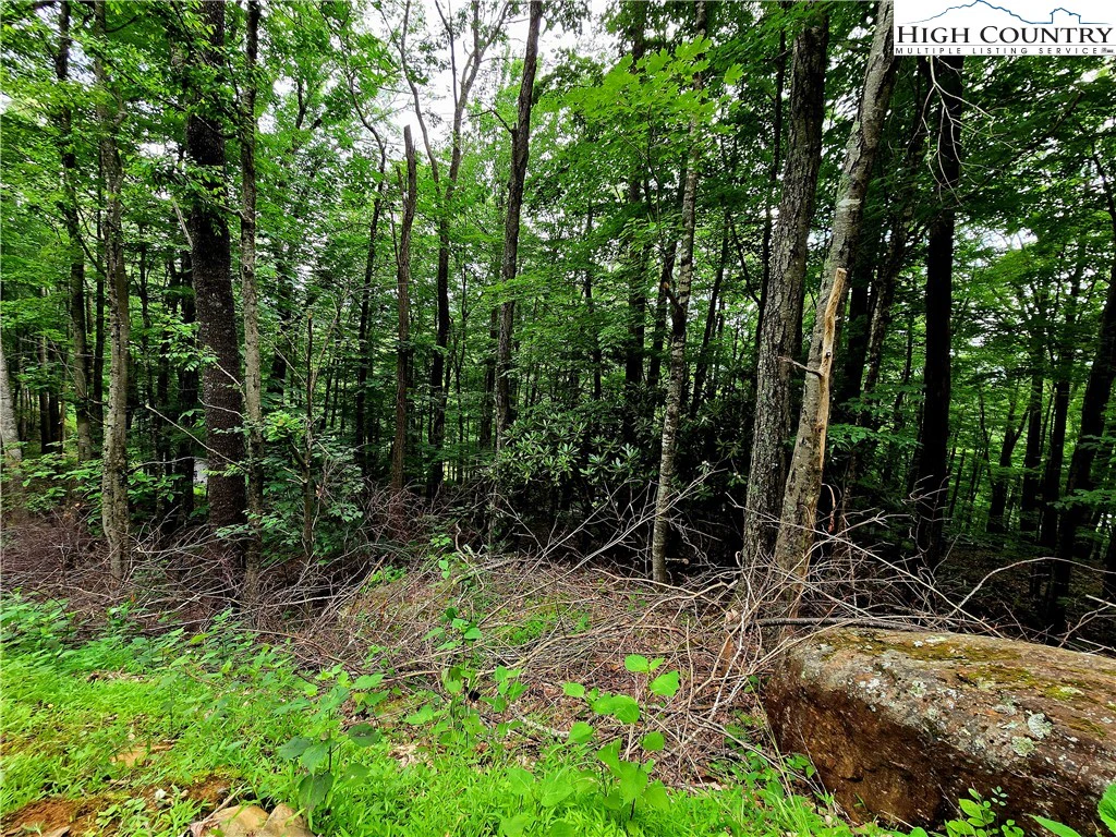 Image number 16 for the current listing