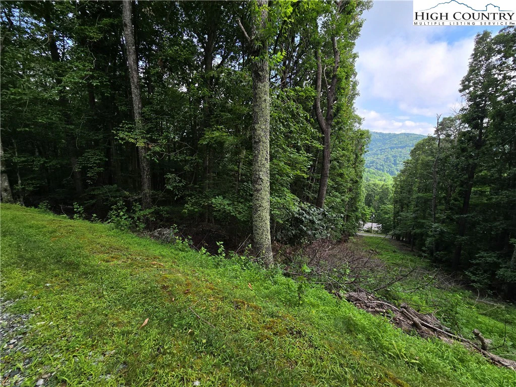 Image number 17 for the current listing