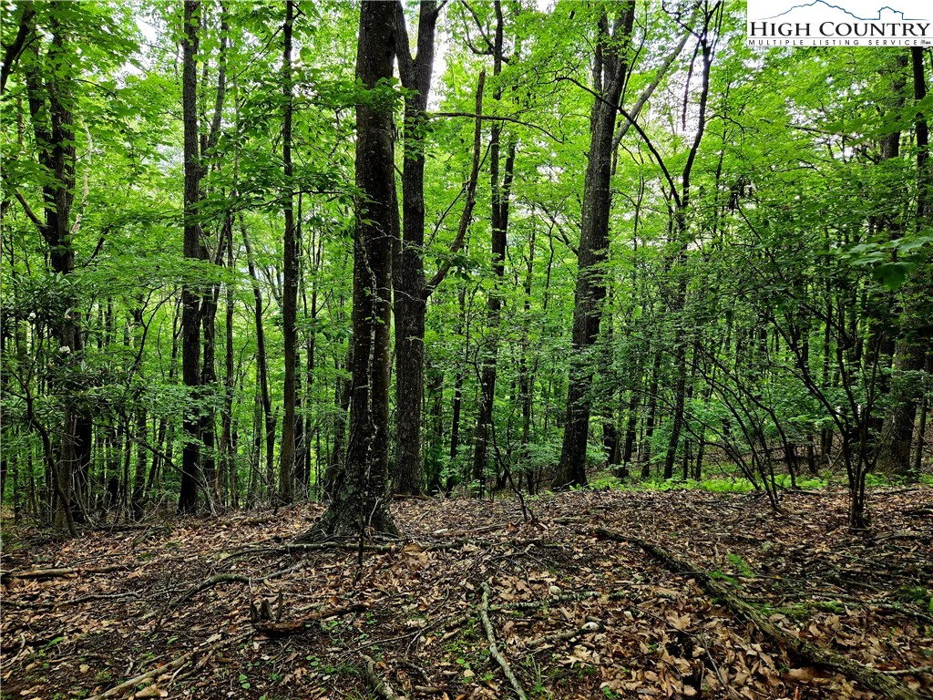 Image number 14 for the current listing