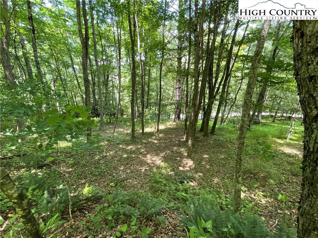 Image number 1 for the current listing
