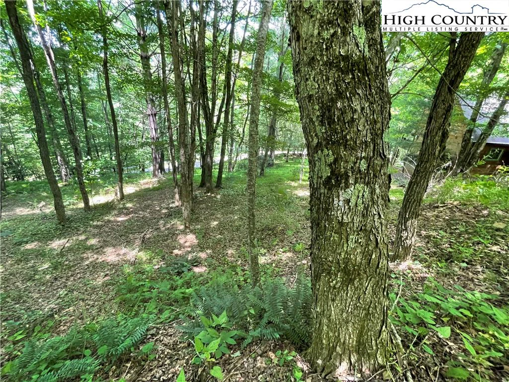 Image number 3 for the current listing