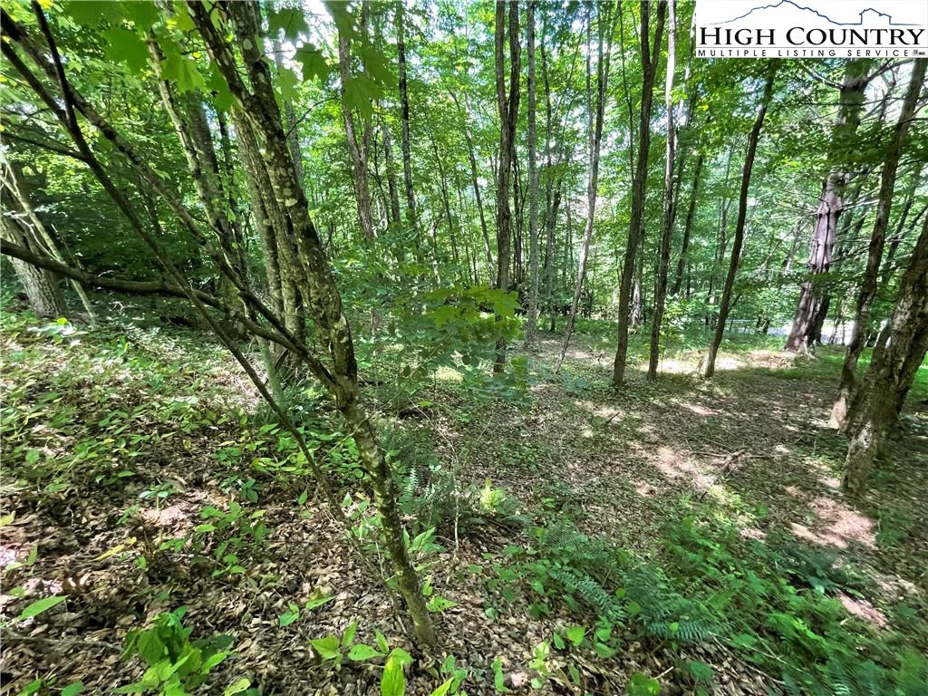 Image number 4 for the current listing