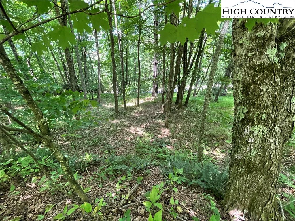 Image number 5 for the current listing