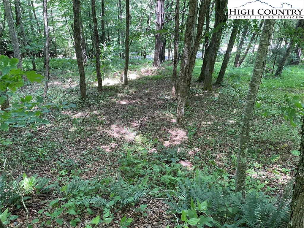 Image number 6 for the current listing