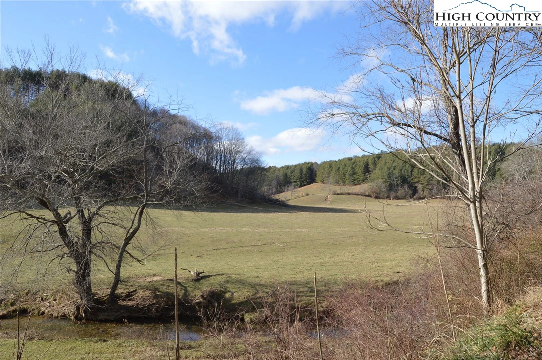 Image number 5 for the current listing