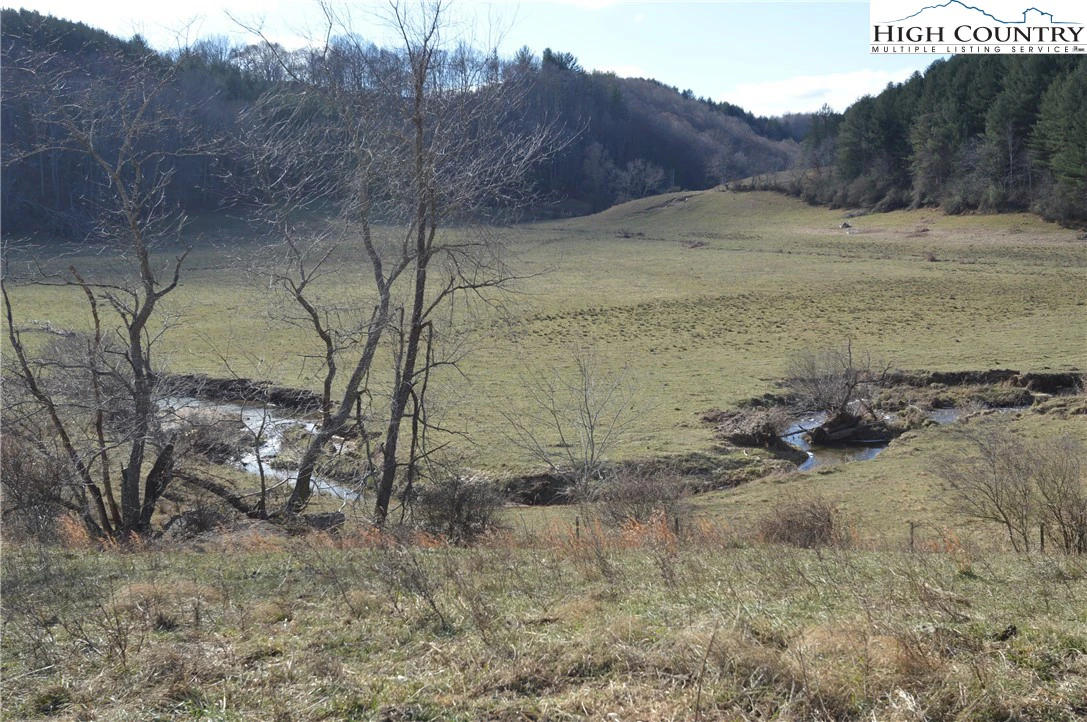 Image number 7 for the current listing