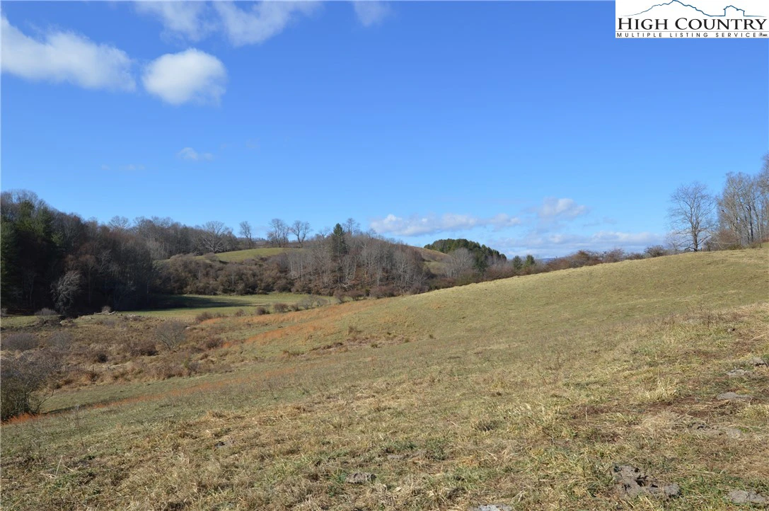Image number 10 for the current listing