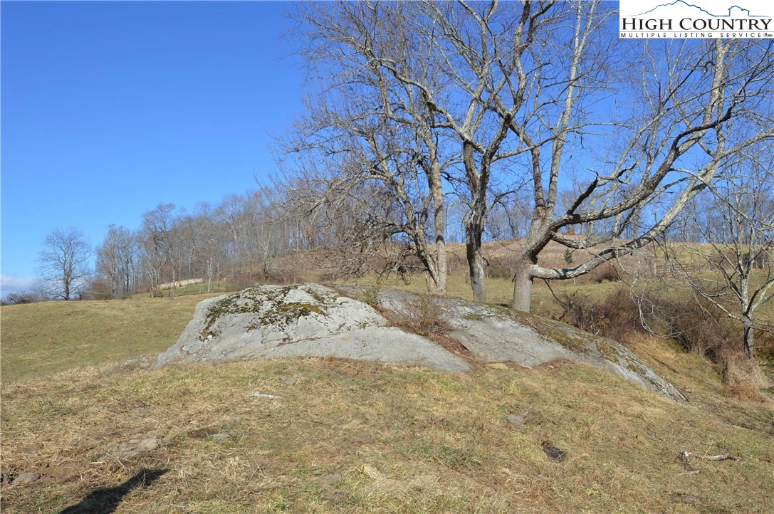 Image number 11 for the current listing