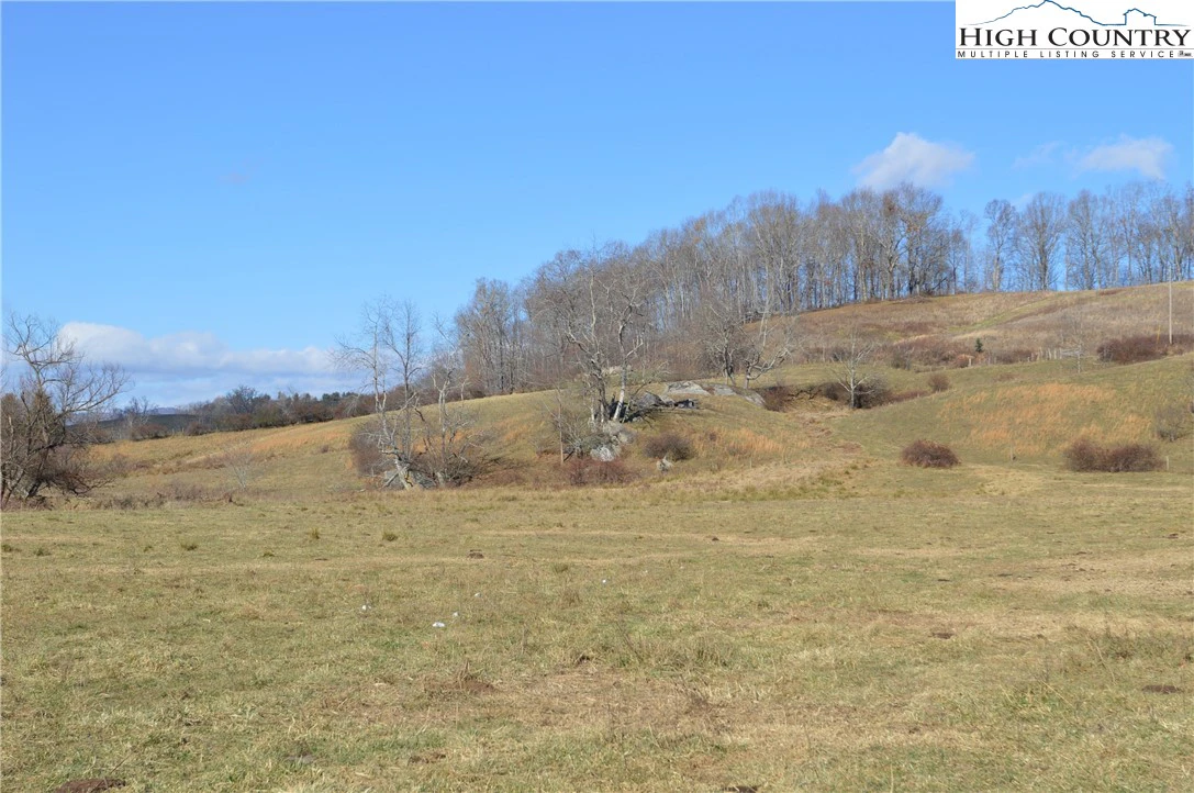 Image number 12 for the current listing