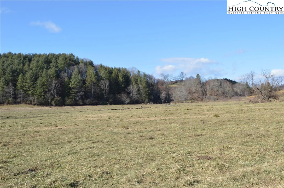 Image number 13 for the current listing