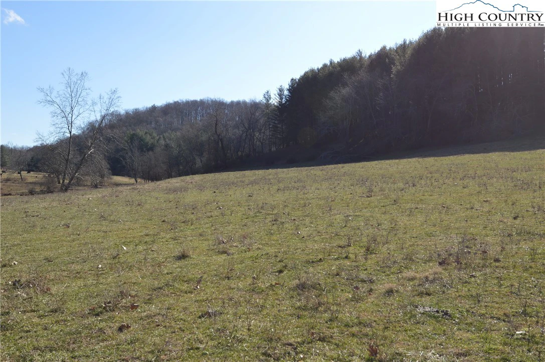 Image number 15 for the current listing