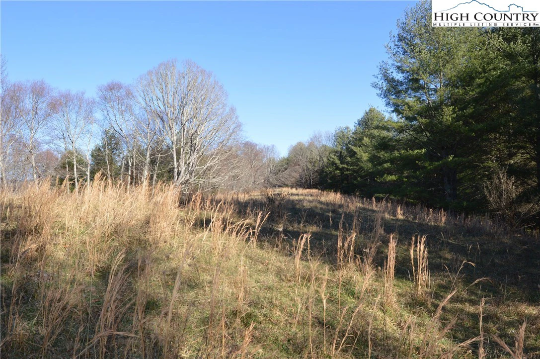 Image number 17 for the current listing