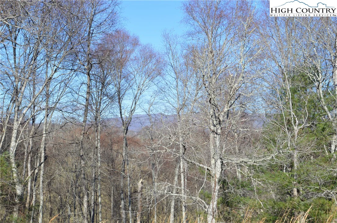 Image number 19 for the current listing