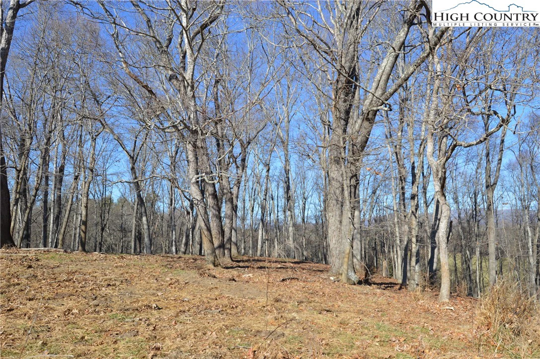 Image number 21 for the current listing