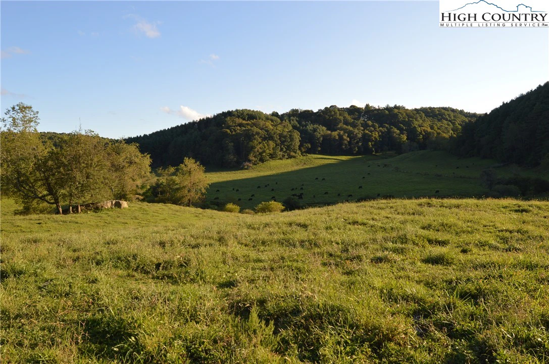 Image number 14 for the current listing