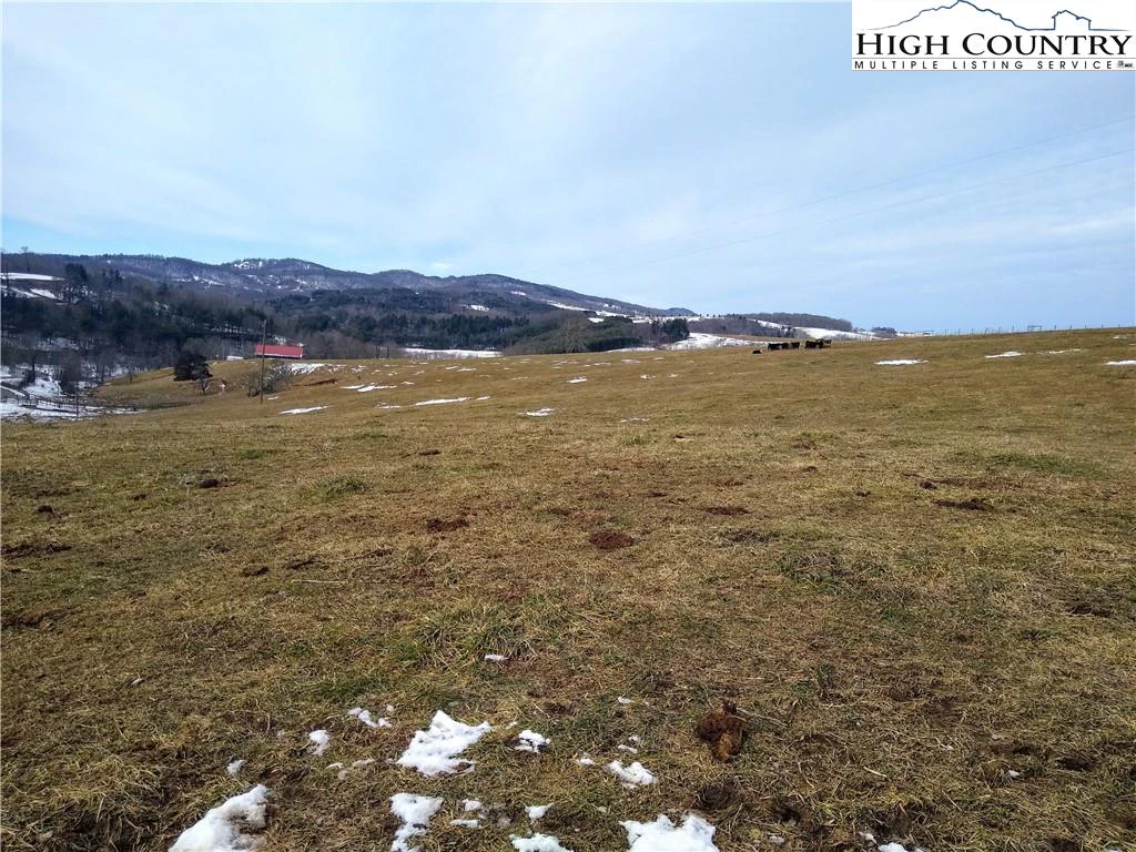 Image number 1 for the current listing
