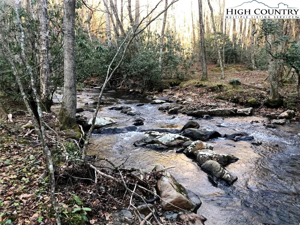 Image number 1 for the current listing