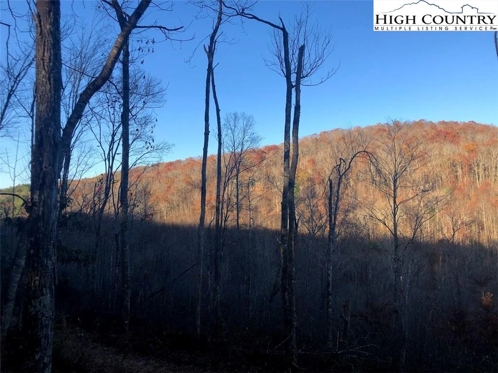 Image number 18 for the current listing