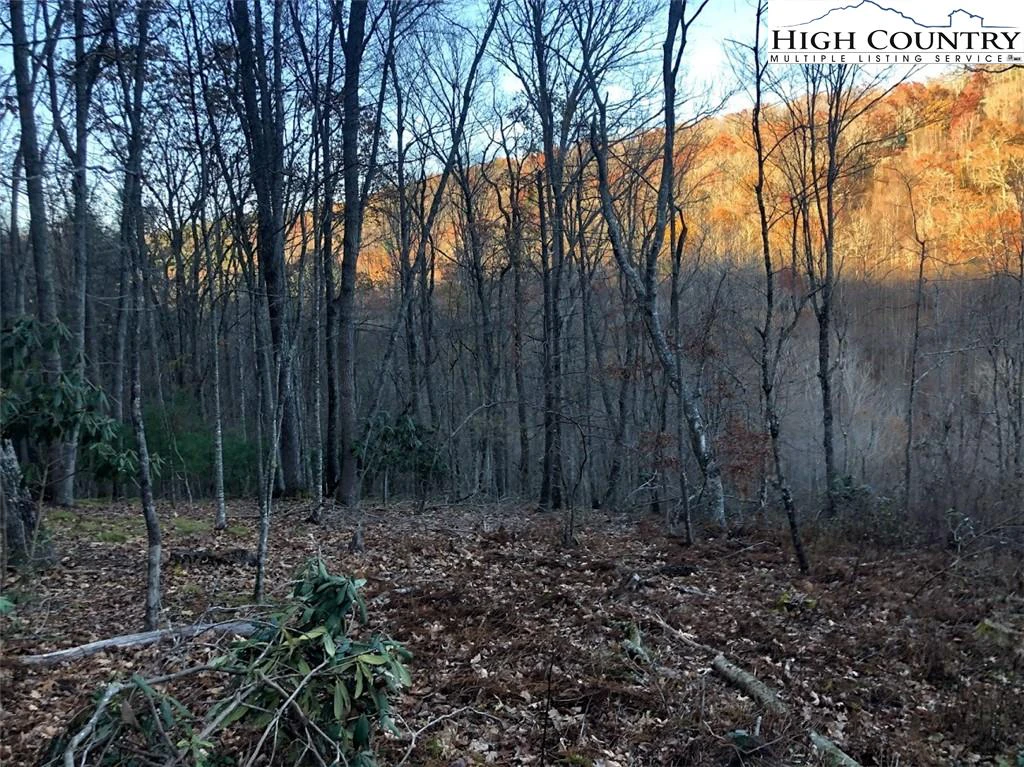Image number 3 for the current listing