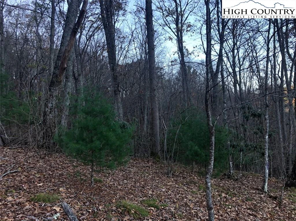 Image number 4 for the current listing