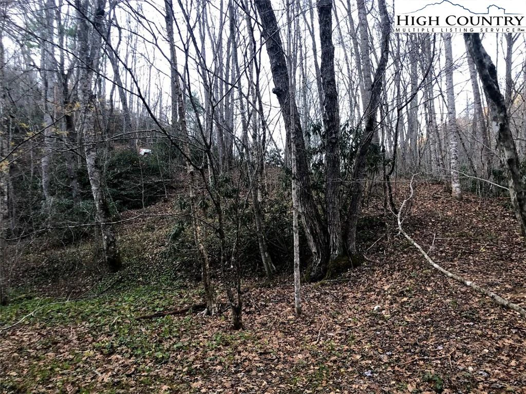 Image number 9 for the current listing