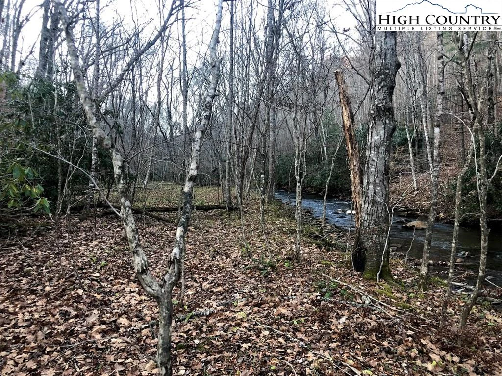 Image number 12 for the current listing