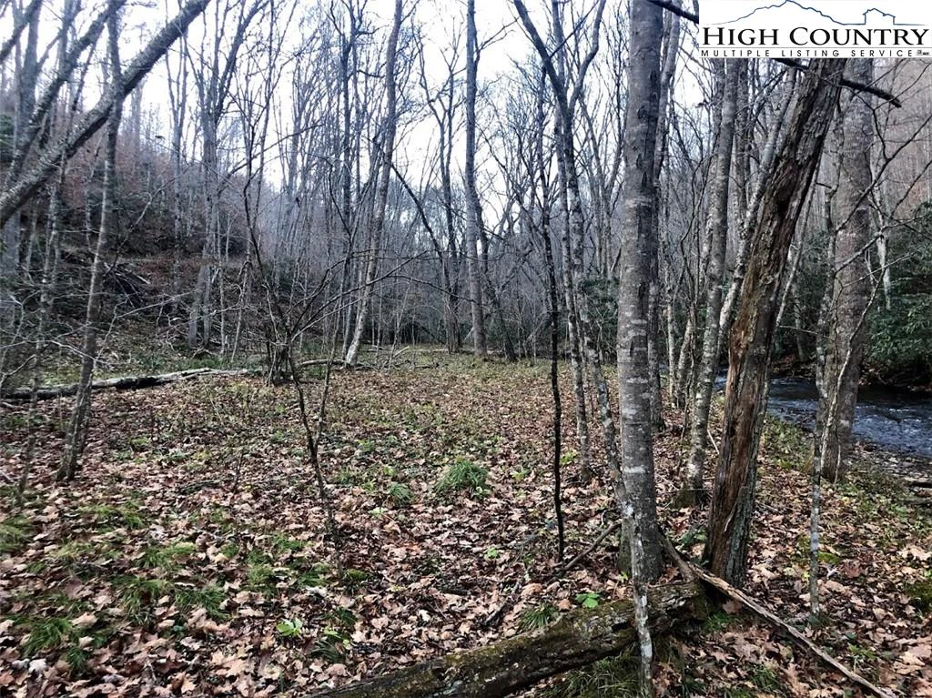 Image number 14 for the current listing