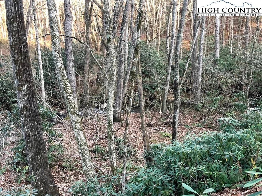 Image number 16 for the current listing