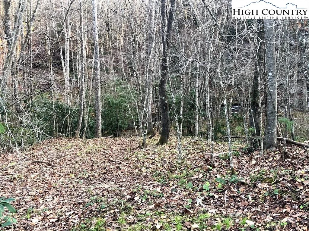 Image number 17 for the current listing