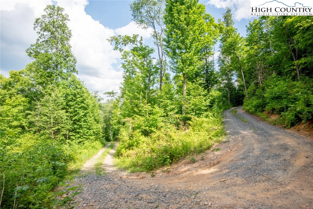 Image number 19 for the current listing