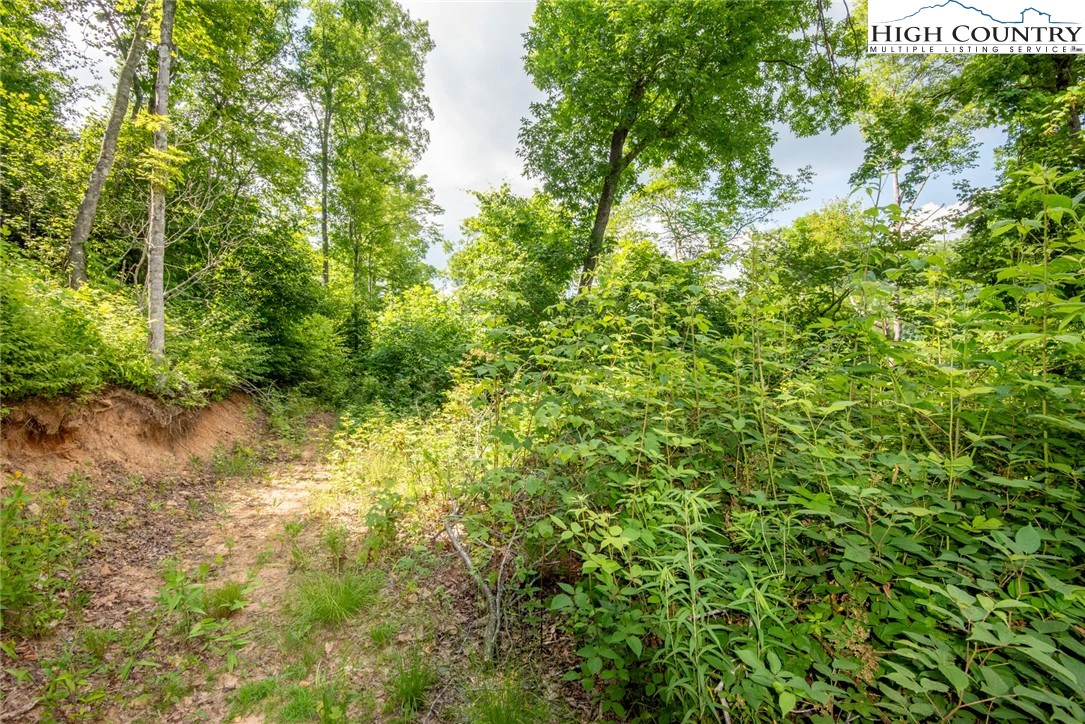 Image number 21 for the current listing