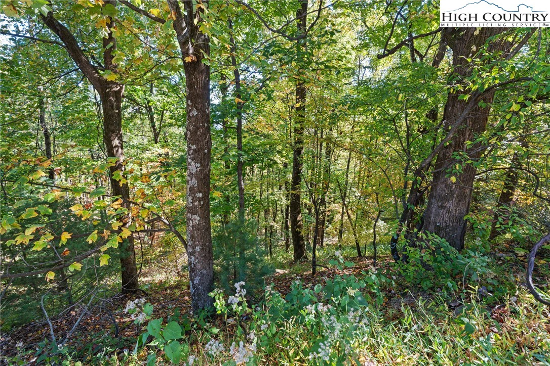 Image number 1 for the current listing