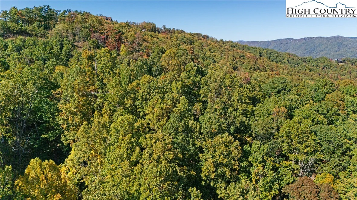 Image number 16 for the current listing