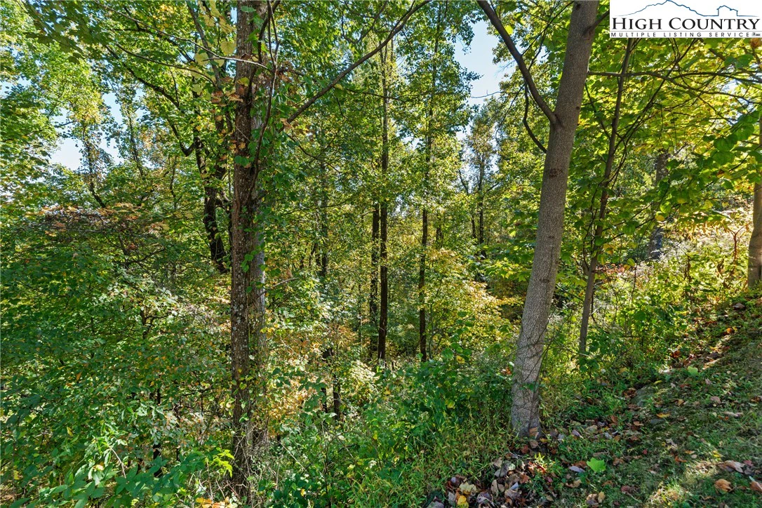 Image number 2 for the current listing
