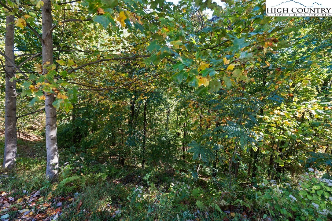 Image number 11 for the current listing