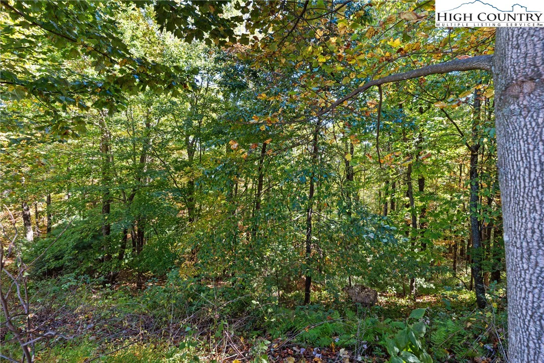 Image number 9 for the current listing