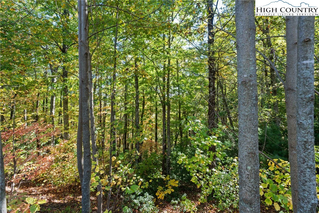 Image number 7 for the current listing