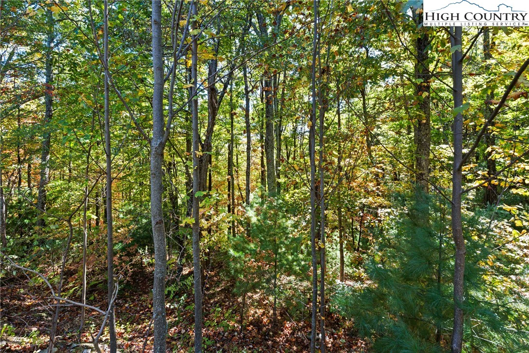 Image number 6 for the current listing