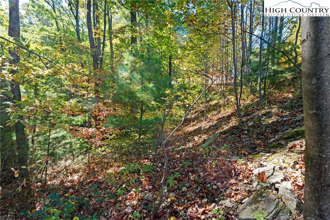 Image number 5 for the current listing
